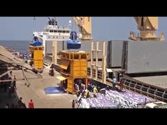 macchina imballatrice messa in recipienti del cellulare