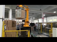Robot di pelletizzazione per la scatola del cartone e della borsa